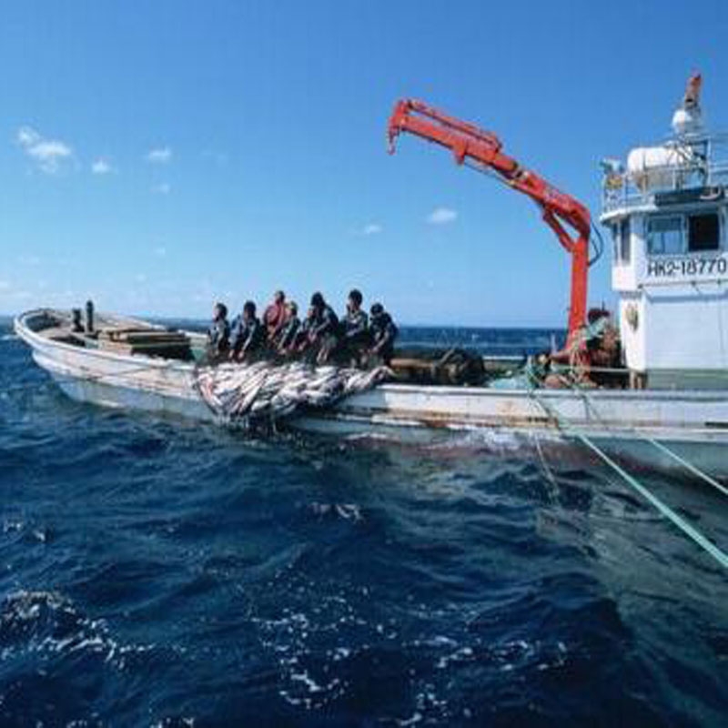 海南漁業用繩
